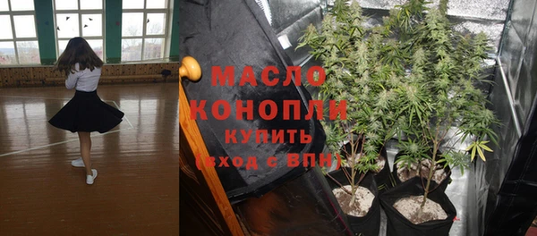 скорость Гусев