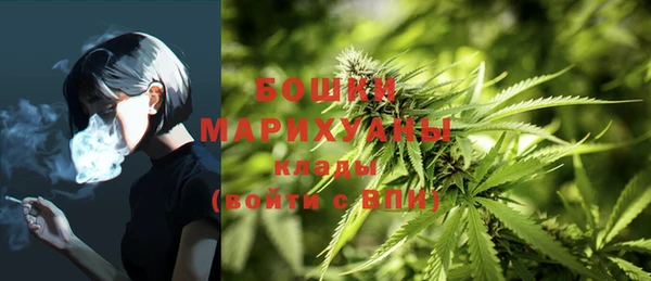 скорость Гусев