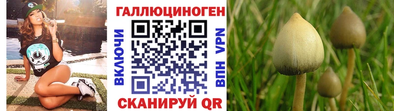 Галлюциногенные грибы Magic Shrooms  Невьянск 